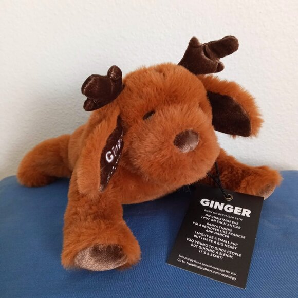 Braille Guide Dog Ginger Reindeer Two Blind Brothers NWT Plush Service Animal 9" - Picture 2 of 9